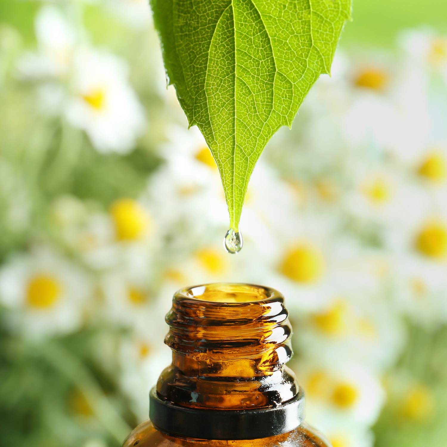 Aromathérapie Pharmacie du Centre Ballainvilliers