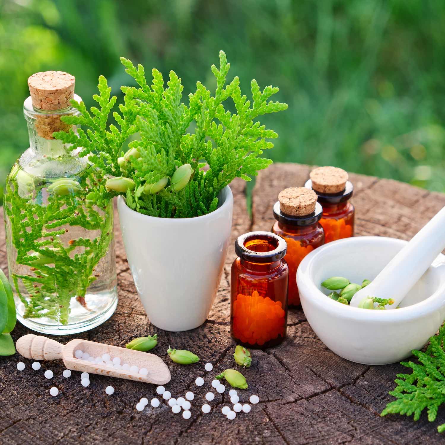 Homéopathie Pharmacie du Centre Ballainvilliers